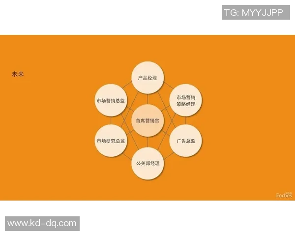 专业解析LNG市场节奏与策略的深度剖析与未来展望