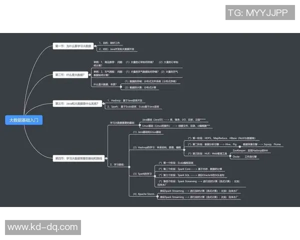 深圳排球队团队协作表现的数据分析与提升策略探讨